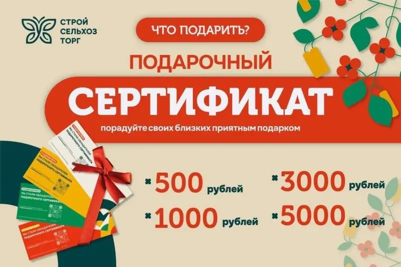Подарочные сертификаты
