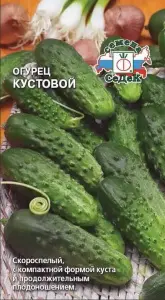 79546