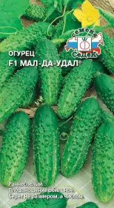 Огурец Мал-да-удал F1® зг (Евро, 0,2; 0396) СеДеК