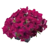 fqz8iovy0jm8ojlkrk6n9oq3tw5t7av9