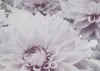 УА-00049511