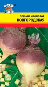 6597082320