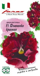 viola_flamenko_krasnaya.jpg