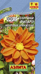 Георгина Фигаро оранжевый махровый 5-7шт Аэлита цв.