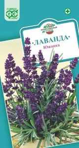 Лаванда узколистная Южанка 0,2гр ГШ