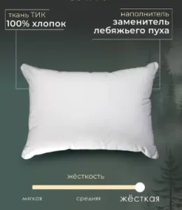 Снимок экрана 2026-09-03 105918
