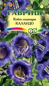 Кобея Лазающая Каландо 5шт Гавриш