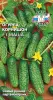 Огурец Маша F1 0,15гр СеДеК (10)