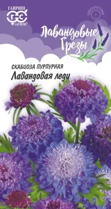 Скабиоза Лавандовая леди пурпурЛавандовые грезы 0,2гр10