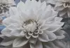 УА-00049513