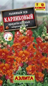 Львиный зев карликовый оранж.-красн. 10шт0,1гр Аэлита цв.
