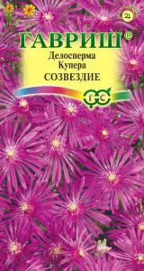 1999943485.jpg