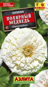 Цинния Полярный медведь 0,3гр Аэлита цв.