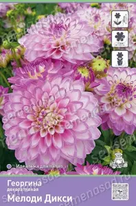 tles9rz54a7xqg5i14tokma3glquqox4