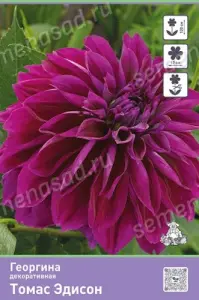 obqysiusi2hsrhwbsnjvt9q6vyw9uvwc