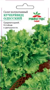 Салат Кучерявец Одесский (полукочанный) (Евро, 0,5; 8093) СеДеК