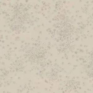 УА-00042154