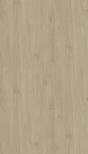 bhlf5x40xkrkaf395oe3216cg6h88en6