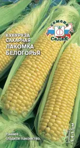 Кукуруза Лакомка Белогорья (сахарная) (Евро, 5; 6542) СеДеК