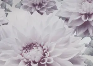 УА-00049511