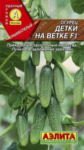 Огурец Детки на ветке F1 0,25гр Аэлита (10)