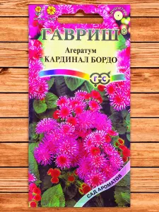 ageratum-kardinal-bordo-foto-semena-top