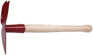 768131_1