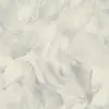 УА-00045268