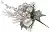 22848_small
