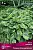 hosta_gibrid_tokudama_flav_kaper.jpg