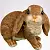 12233