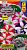 b0253c01_2f10_11e9_80d8_0cc47adb9c64_4477cda6_06dd_11ea_80e5_0cc47adb9c64.jpeg