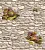 1458_image_big_2 (1)