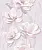 1513_image_big_3