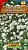 Гипсофила Снежная вьюга 0,05гр Аэлита цв.