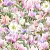 1572_image_big_2