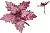 25617_middle