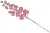 22532_middle
