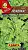 Салат Неженка листовой 0,5гр Аэлита цв.