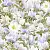 1572_image_big_3