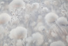 УА-00050473