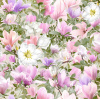 1572_image_big_2