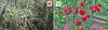 12d7e762-15e2-11e7-a9b2-005056c00008_01fcef1b-e17e-11ec-88e3-ac1f6be766f7