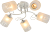 10640_5-WH_CR-1