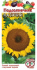 1999946149.jpg