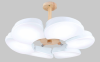 Люстра LED 72W MAX 3000-6000K 250196 WH+WOOD