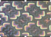 00253271