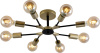 10624_8-GOLD_BK-1