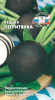 Редька Негритянка 200шт1-2-3гр СеДеК