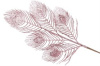 19247_middle